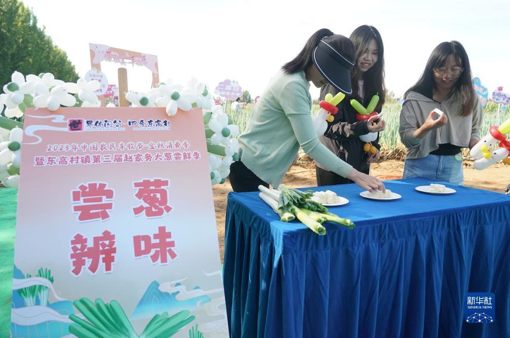 大连麻将穷胡下载官网